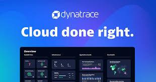 Dynatrace - Image 1